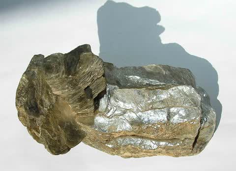 Muscovite
