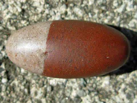 Shiva lingam